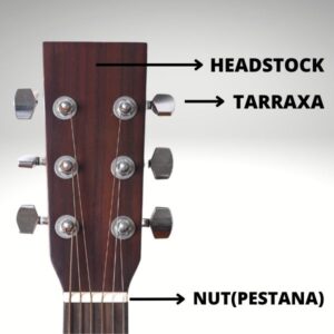 partes do violão head stock